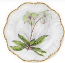 Jardin Orchidees Dinner - Set of 6