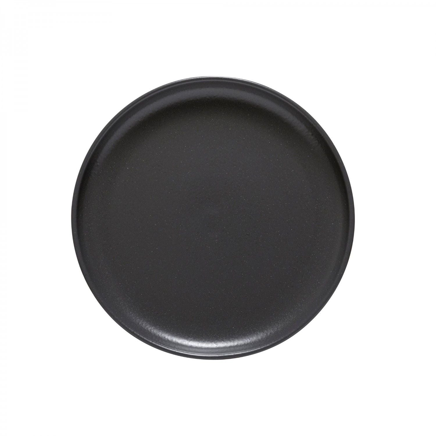 Pacifica Dinner Plate Gray