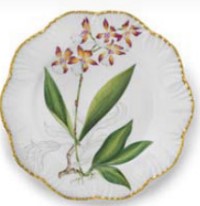 Jardin Orchidees Dinner - Set of 6