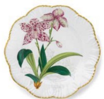 Jardin Orchidees Dinner - Set of 6