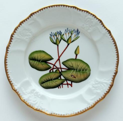 Anna Weatherley Seascape - Waterlily Salad Plate