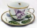 Anna Weatherley Studio Collection Cup & Saucer