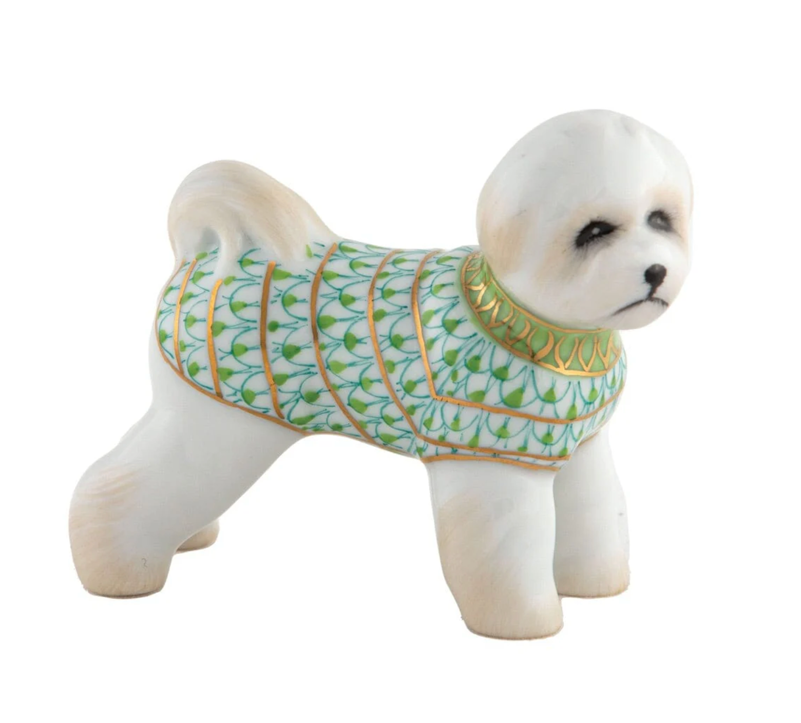 Bichon Frise