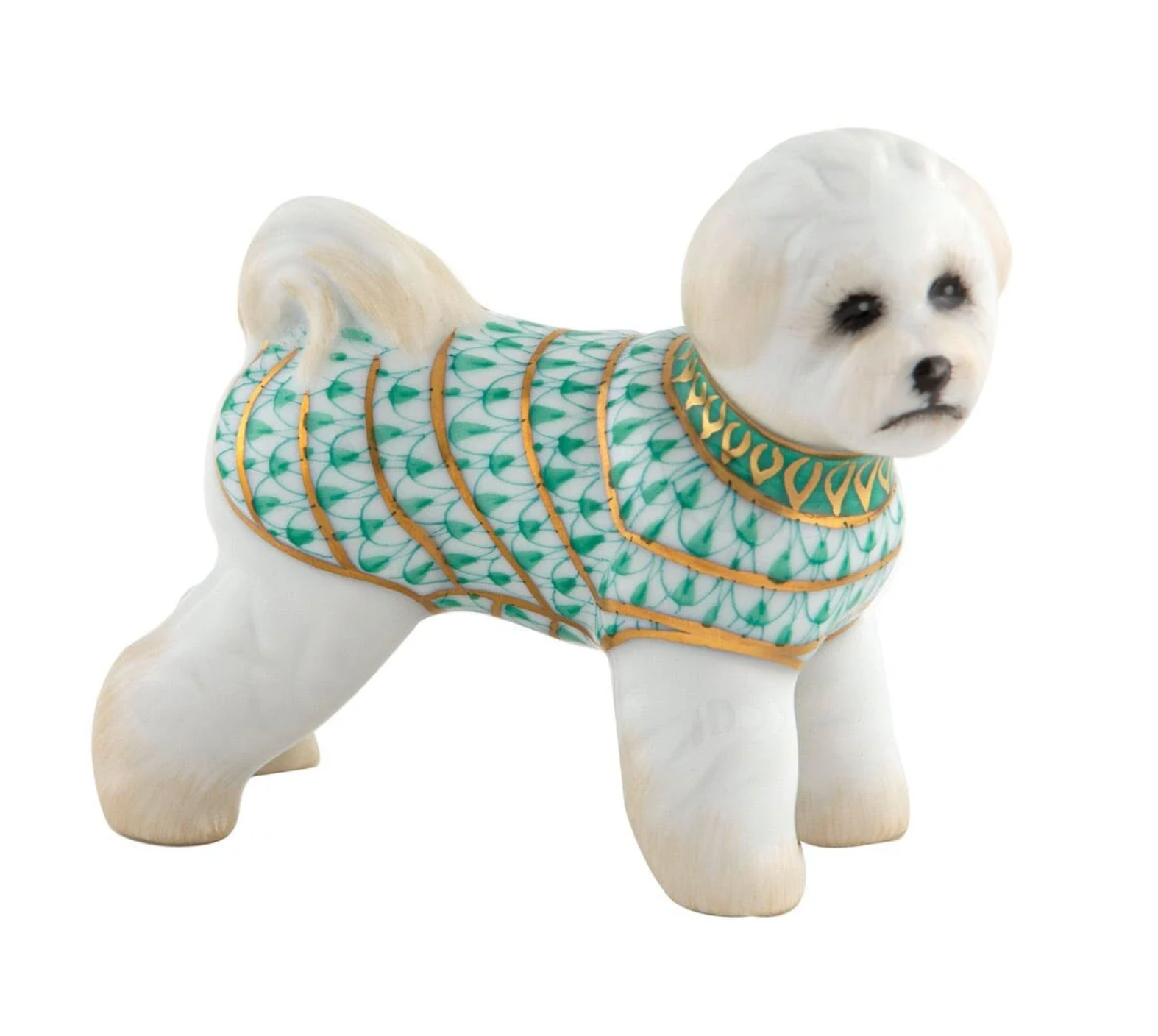 Bichon Frise