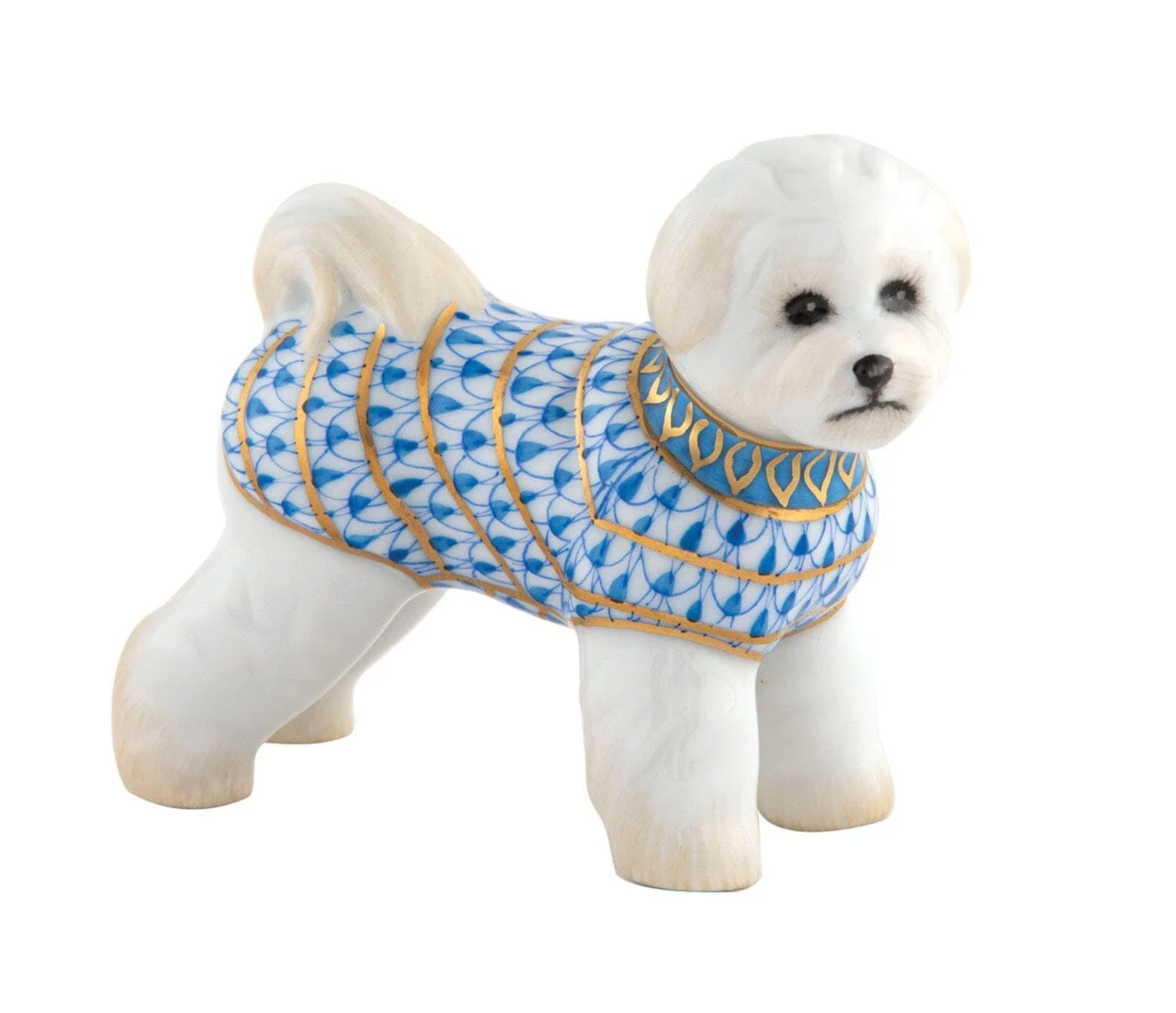 Bichon Frise