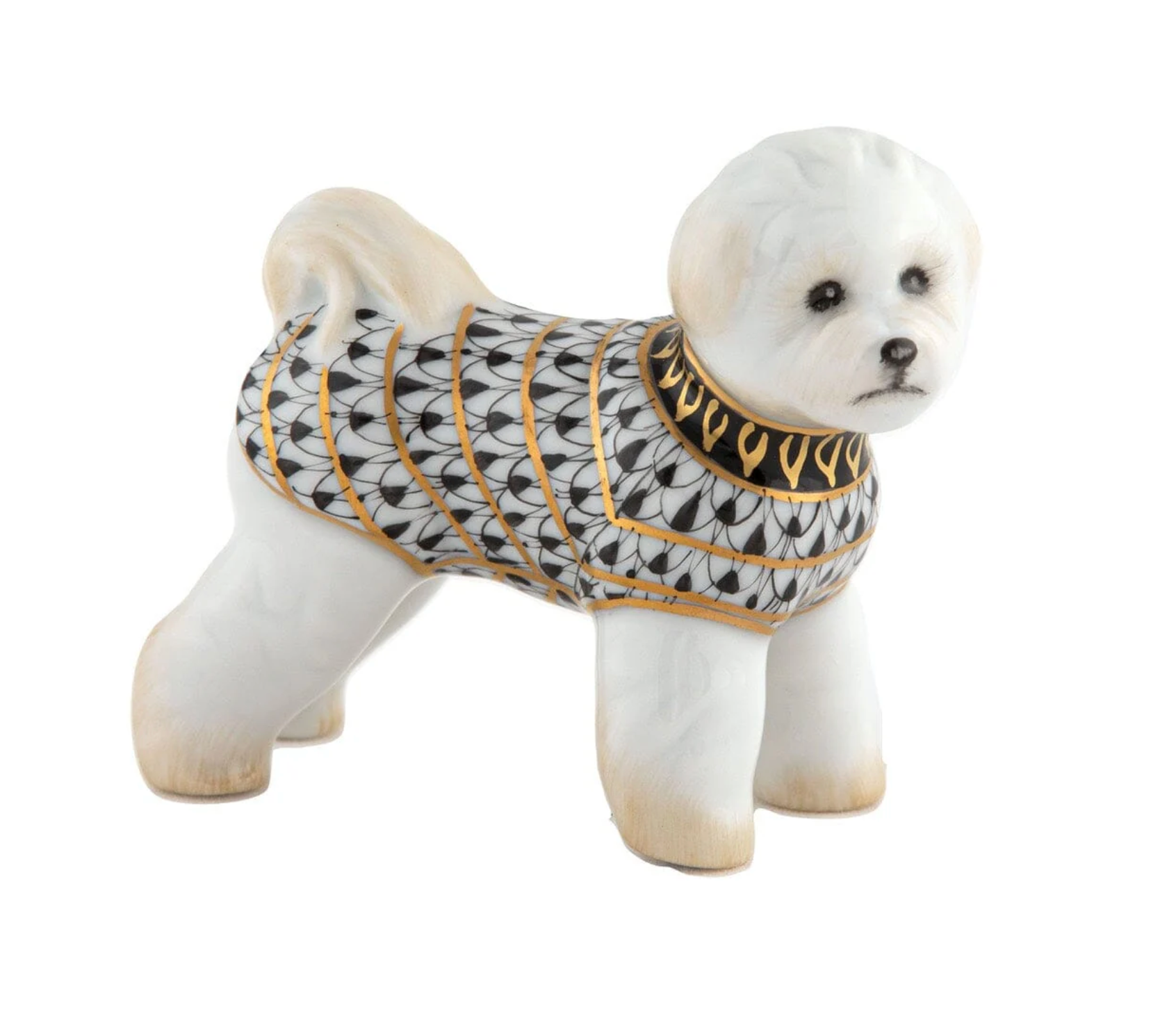 Bichon Frise