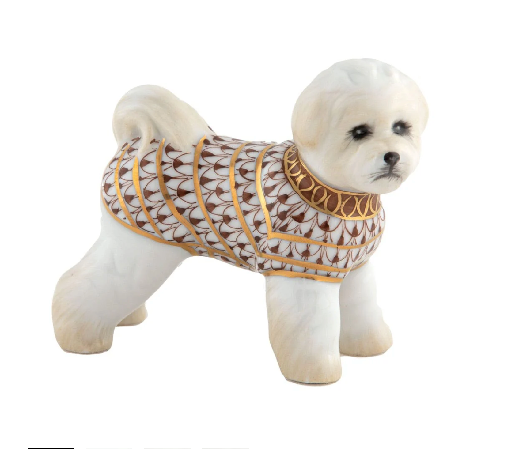 Bichon Frise
