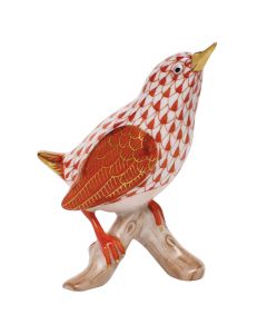 House Wren