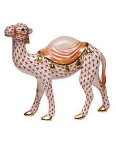 Wandering Camel