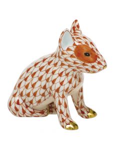 English Bull Terrier Puppy