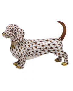 Dachshund