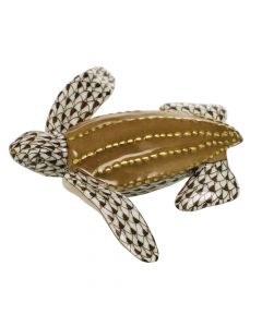 Young Leatherback Turtle