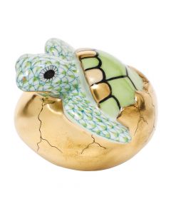 Hatching Sea Turtle