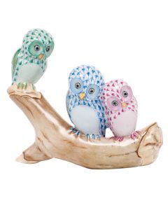Owls On Branch