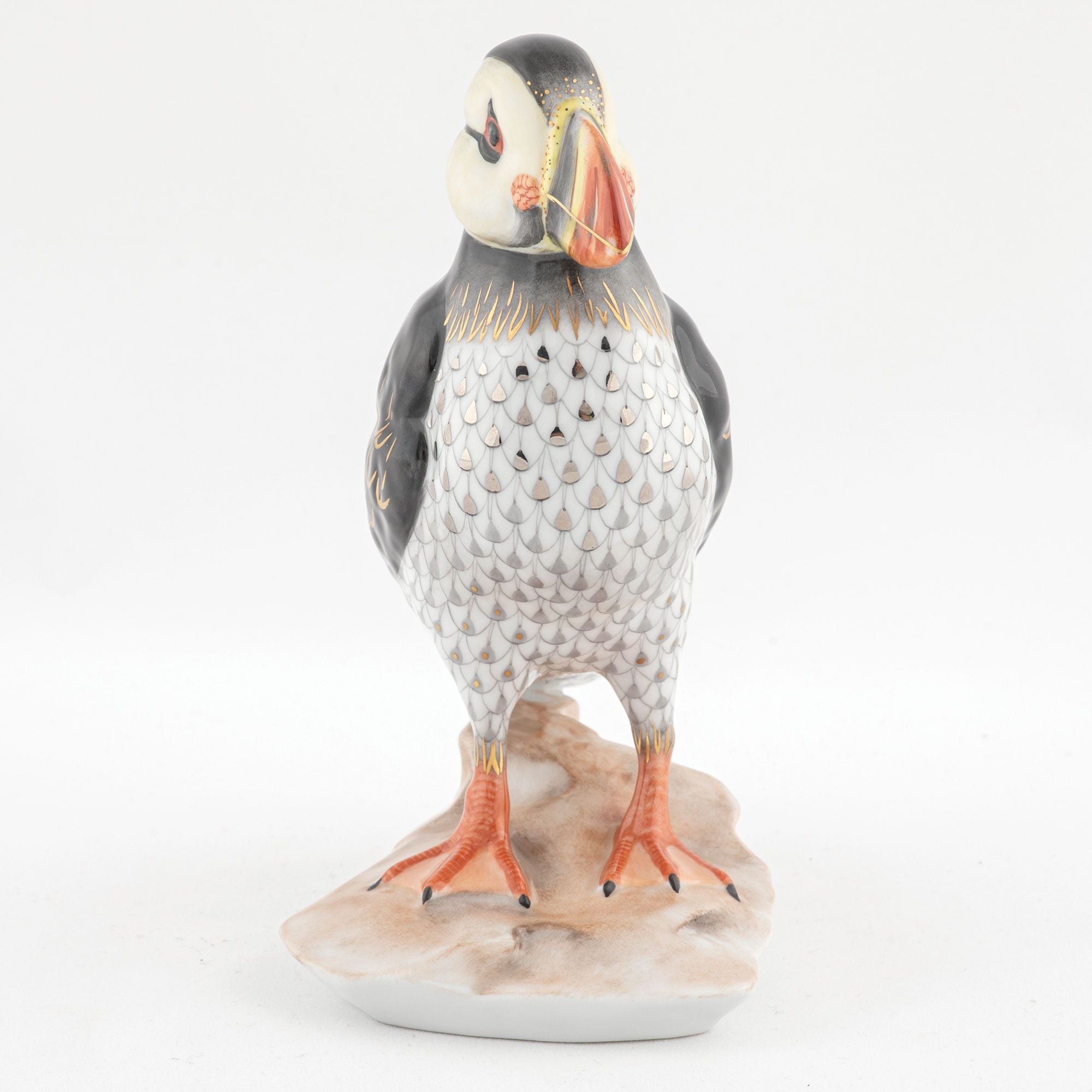 Puffin on Rock