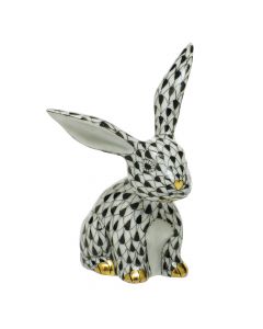 Funny Bunny