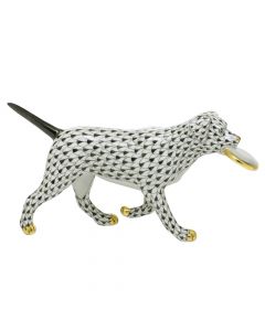 Frisbee Dog