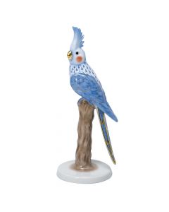 Cockatiel