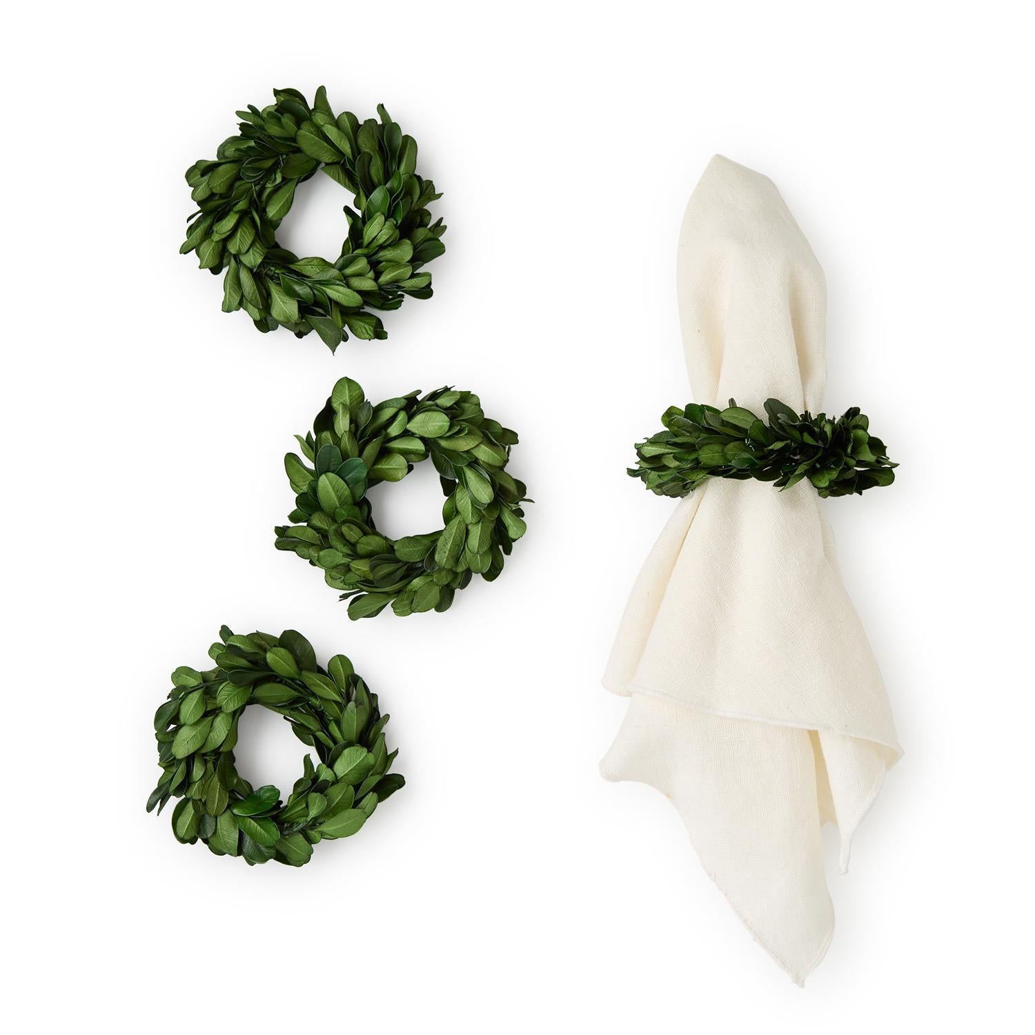 Preserved Boxwood Napkin Rings - Set of 4