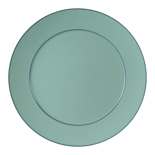 Urban Colors Dinner Plate