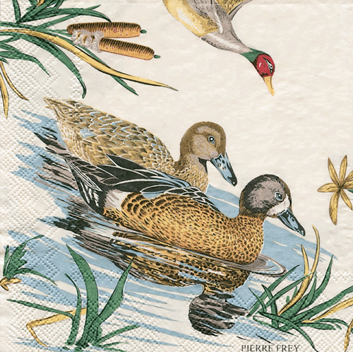 Sologne Cocktail Napkin