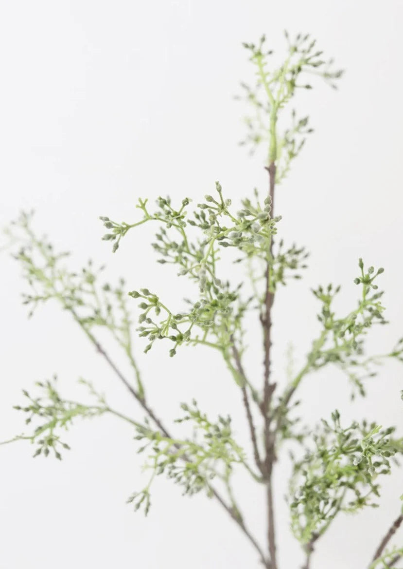 Seeded Long Eucalyptus Stem