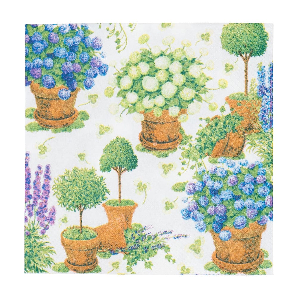 Potted Hydrangea Guest Towel- Pack of 15