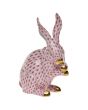 Bunny With Paws Up