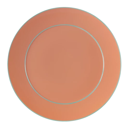Urban Colors Dinner Plate