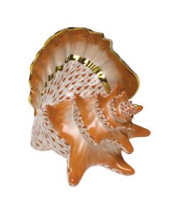 Conch Shell