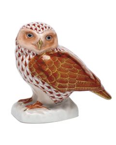 Burrowing Owl