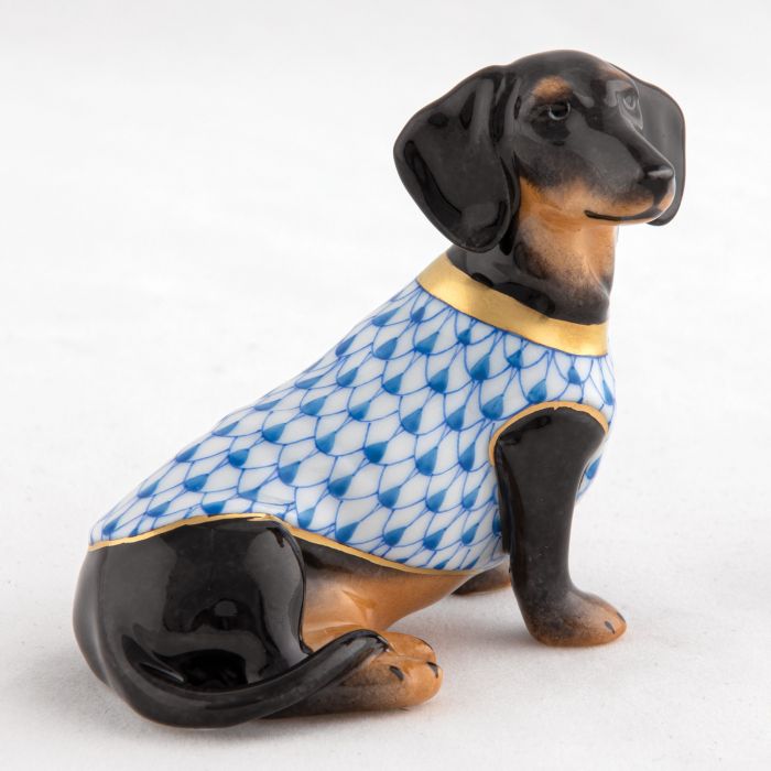 Dachshund With Sweater