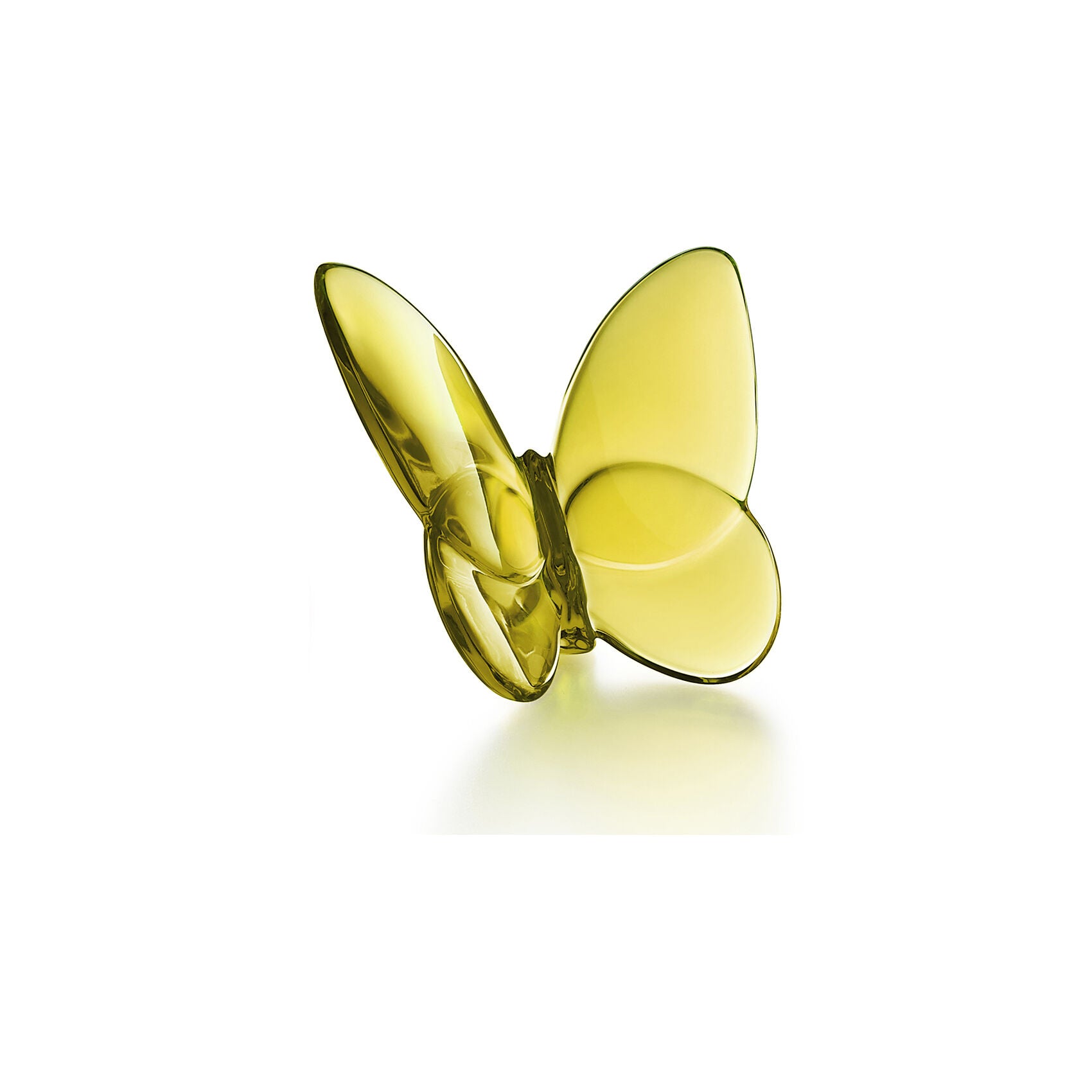 Papillon Lucky Butterfly Amber
