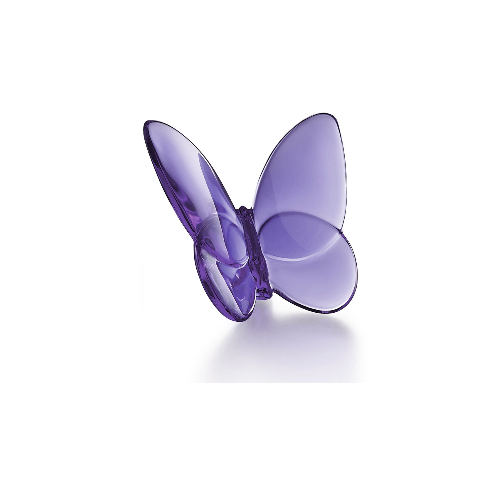 Papillon Lucky Butterfly Purple