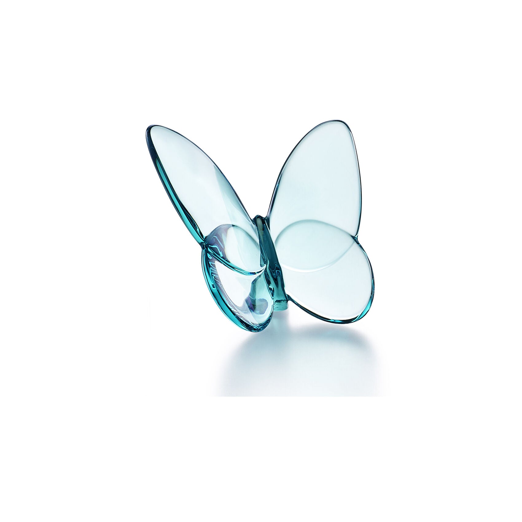 Papillon Lucky Butterfly Turquoise