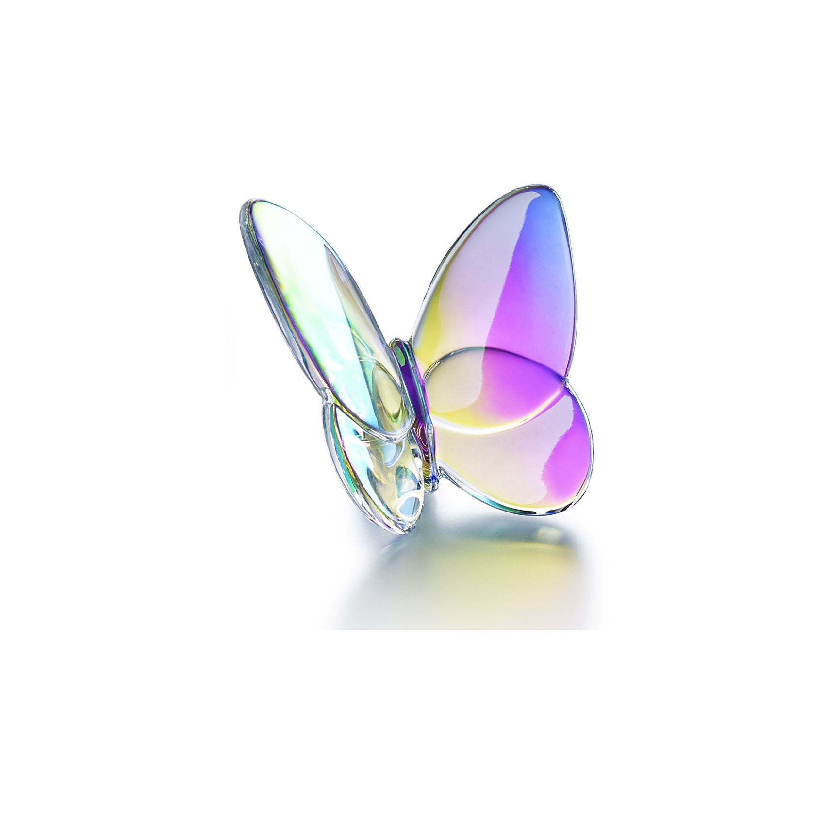 Papillon Lucky Butterfly Iridescent