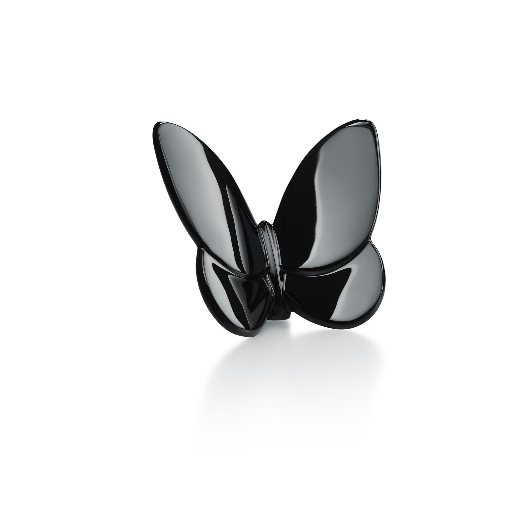 Papillon Lucky Butterfly Black