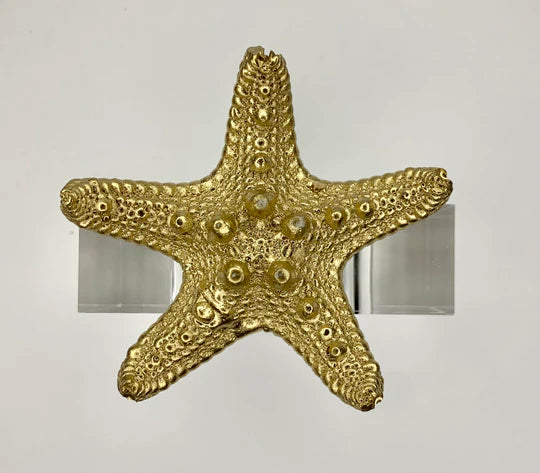 Starfish Napkin Ring - Set of 4