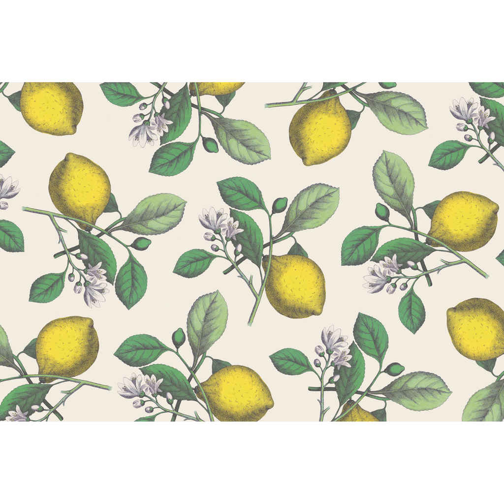 Lemons Paper Placemat