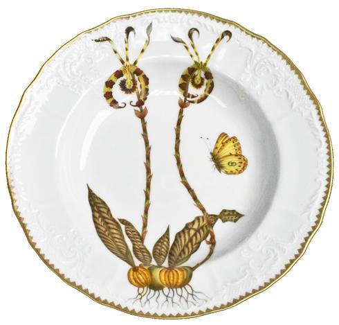 Anna Weatherley Orchids Rim Soups
