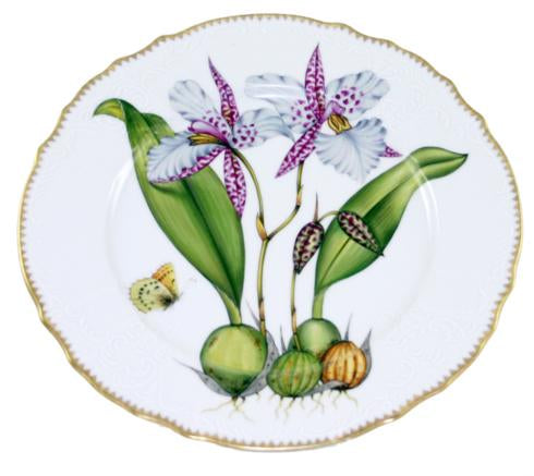 Anna Weatherley Orchids Dinner Plates