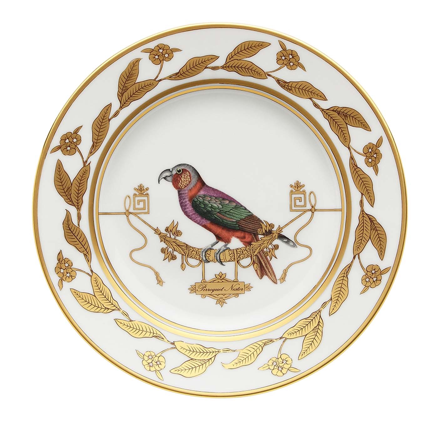 Voliere Perroquet Nestor Dessert