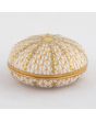 Sea Urchin Box