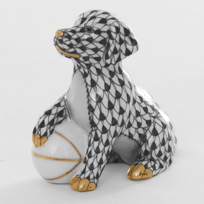Dog with Ball