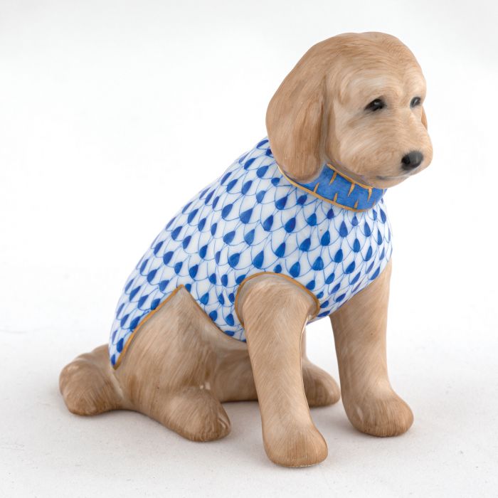 Labradoodle