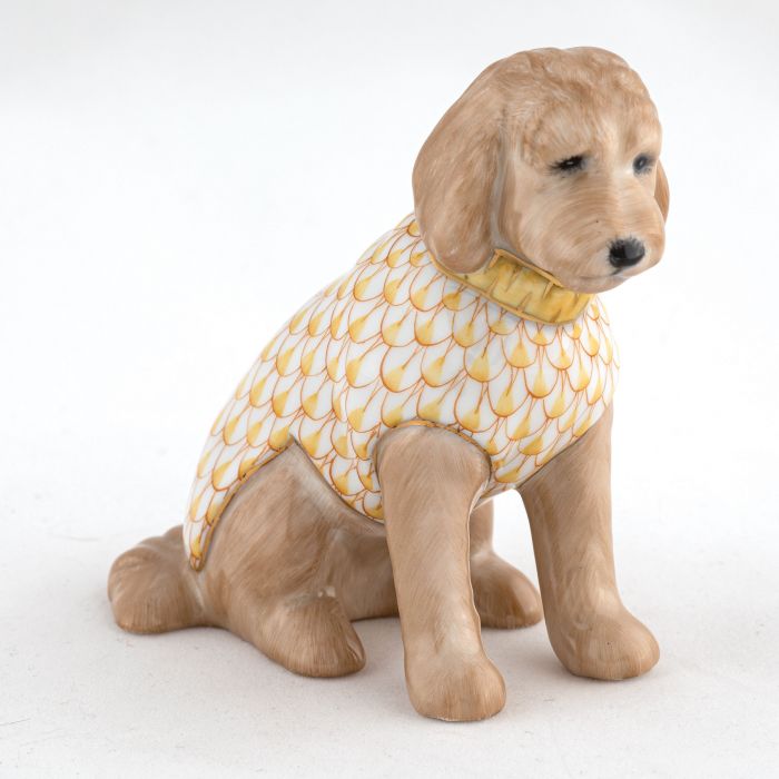 Labradoodle