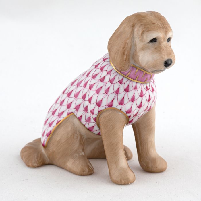 Labradoodle
