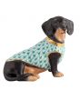 Dachshund With Sweater