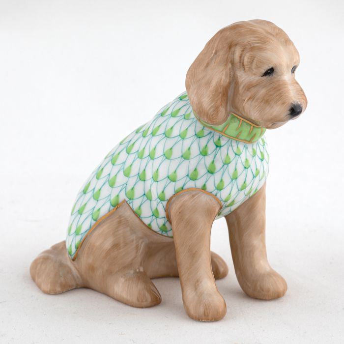 Labradoodle
