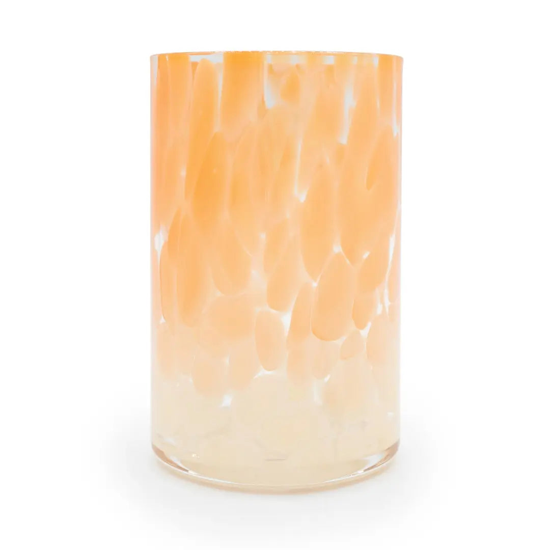 Chameleon High Ball Glass